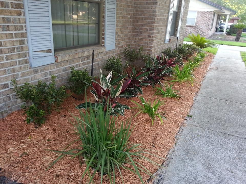 A landscaped garden bed with mulch, assorted green and variegated foliage plants, and shrubs beside a brick house.