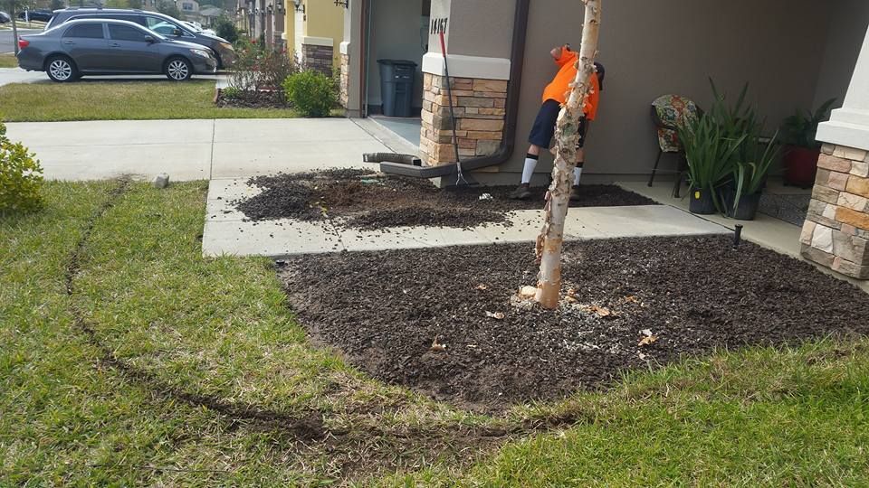 A person in a bright orange shirt works in a garden bed with mulch and a small tree in front of a house.