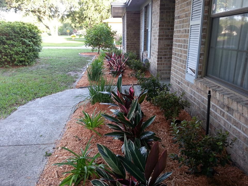 A garden bed with red and green tropical plants lines a brick house wall next to a concrete walkway.