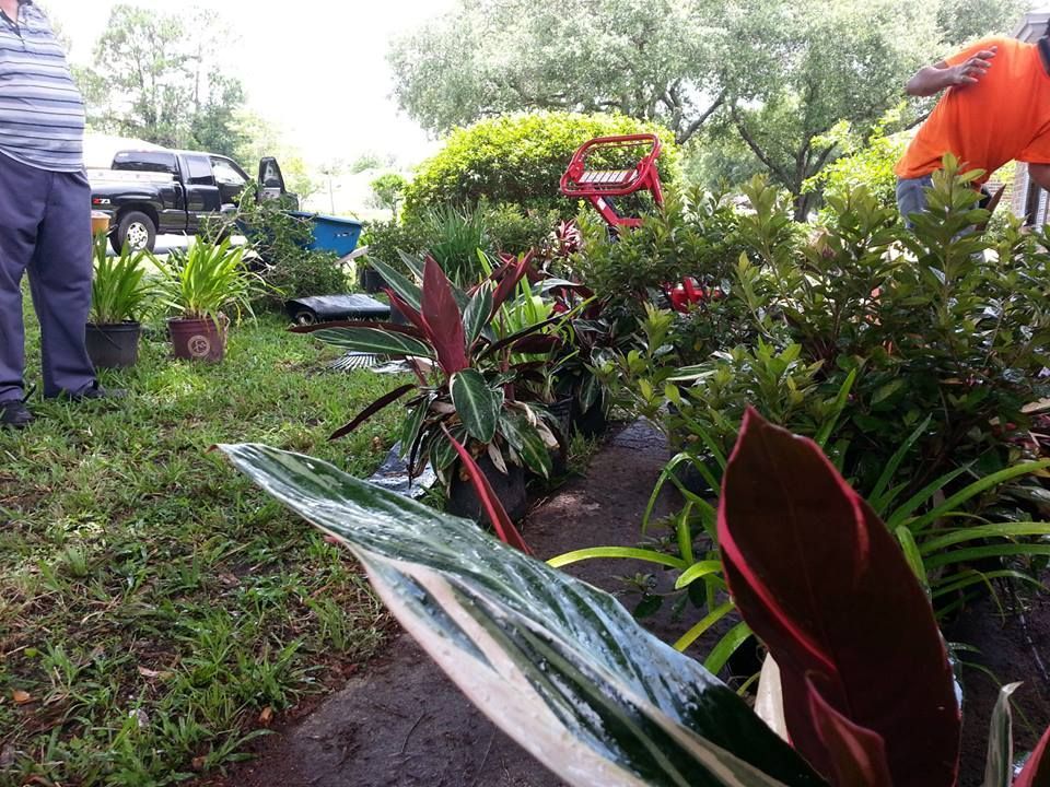 Two people work outdoors among potted plants, with a truck and landscaping equipment visible in the background.