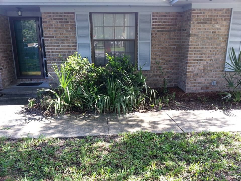 Front view of a brick house entrance with a glass door, a window with white shutters, and overgrown shrubs in the front bed.