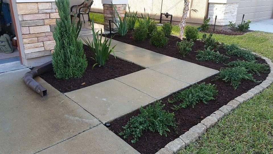 A concrete walkway leads to a house entrance, flanked by garden beds with dark mulch, small shrubs, and a metal downspout.