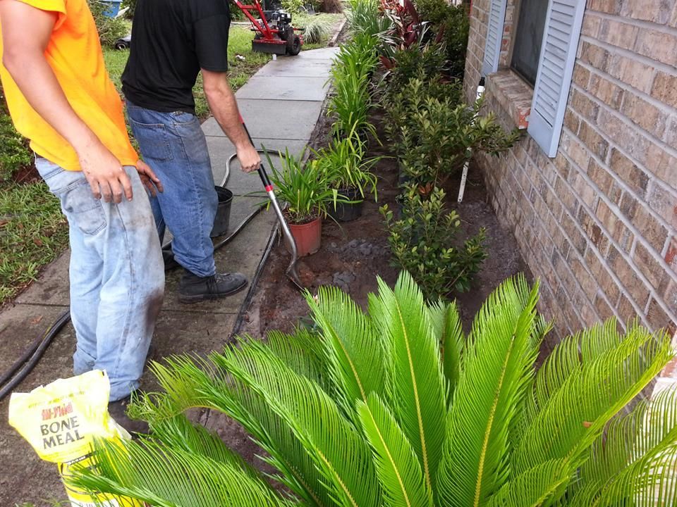 Two workers landscaping a garden bed beside a brick house, using tools to edge the sidewalk and plant shrubs.