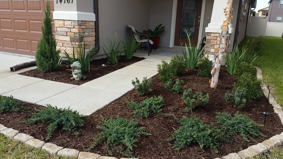 A suburban home entrance features a stone-bordered garden bed with mulch, shrubs, a young tree, and a concrete walkway.