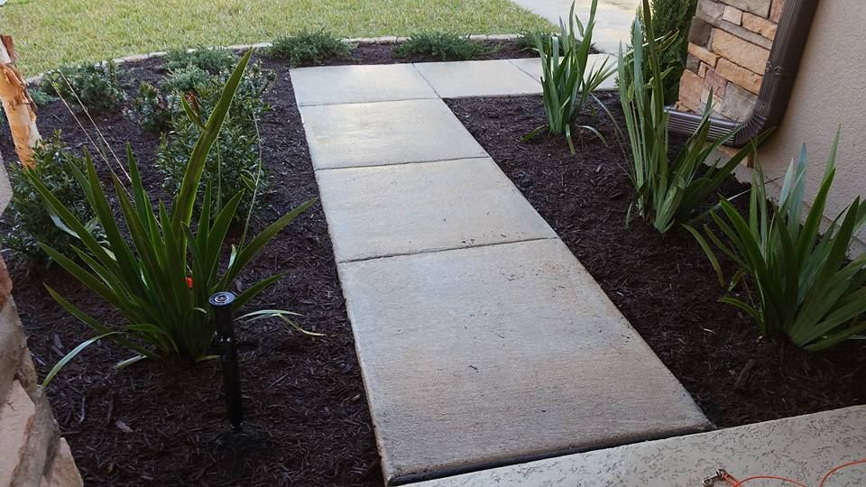 A concrete walkway runs between two garden beds filled with dark mulch and green plants, next to a stone-clad house wall.