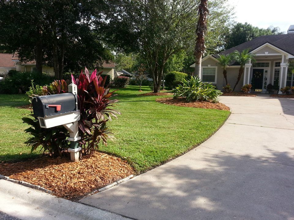 A residential front yard featuring a mailbox surrounded by red and green tropical plants, next to a concrete driveway.