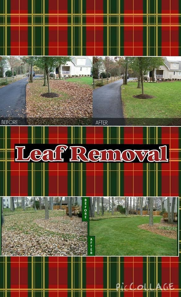Before and after comparison photos of a residential lawn and driveway cleared of fallen leaves for leaf removal service.