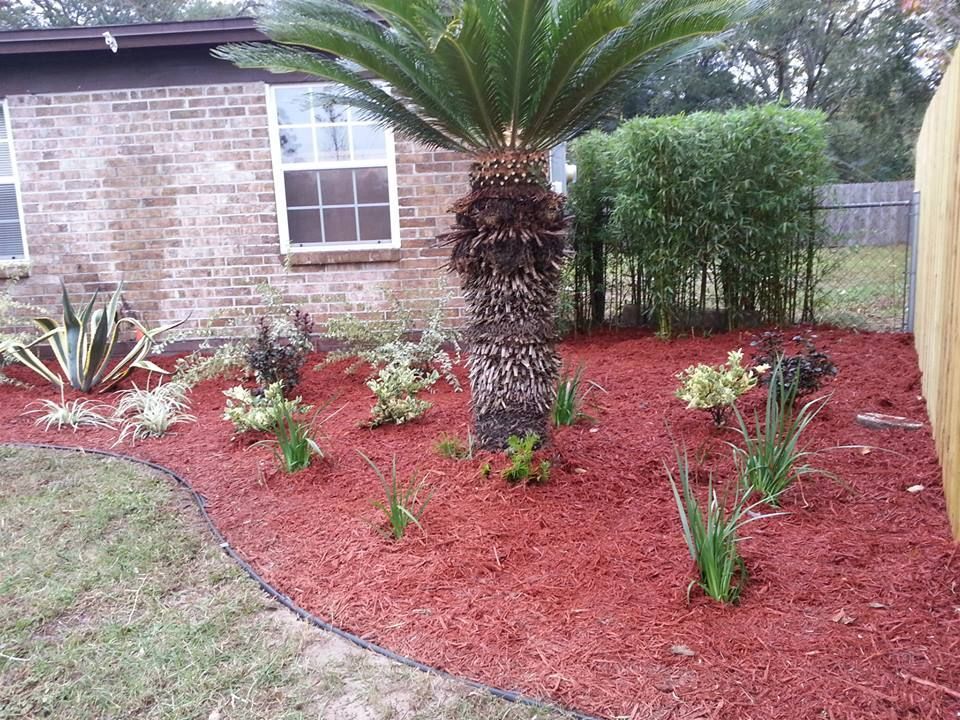 A small garden bed with a central sago palm, various small plants, and vibrant red mulch against a brick house.