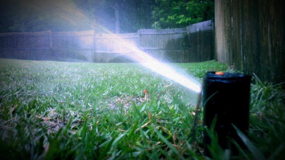 A sprinkler head watering a green lawn in front of a wooden fence.