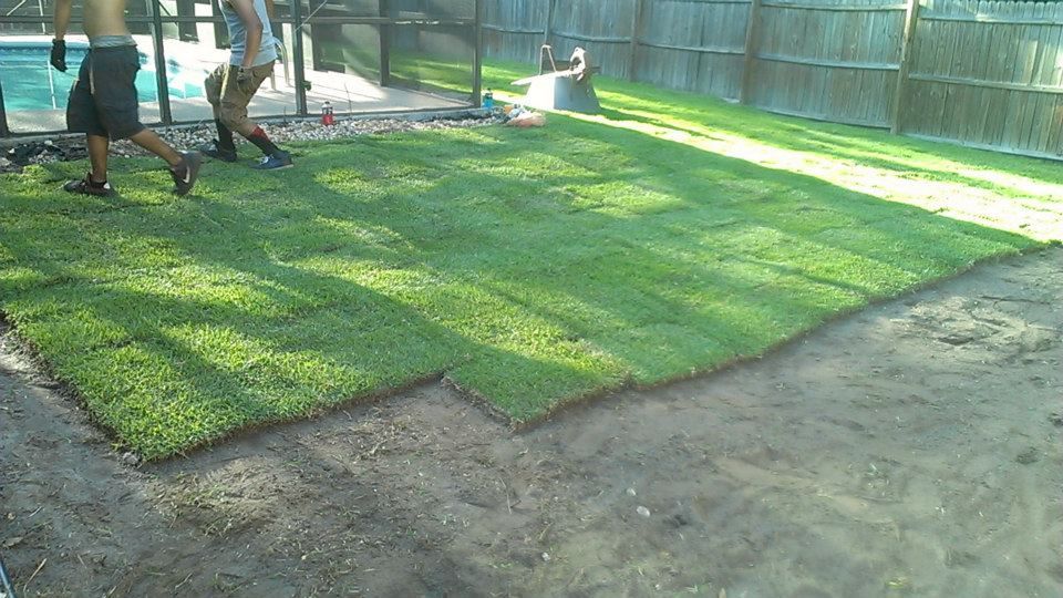 Two people lay sod in a residential backyard with a pool in the background.