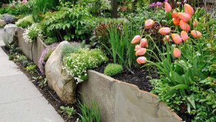 Stone garden border with pink tulips, white flowers, and greenery beside a sidewalk