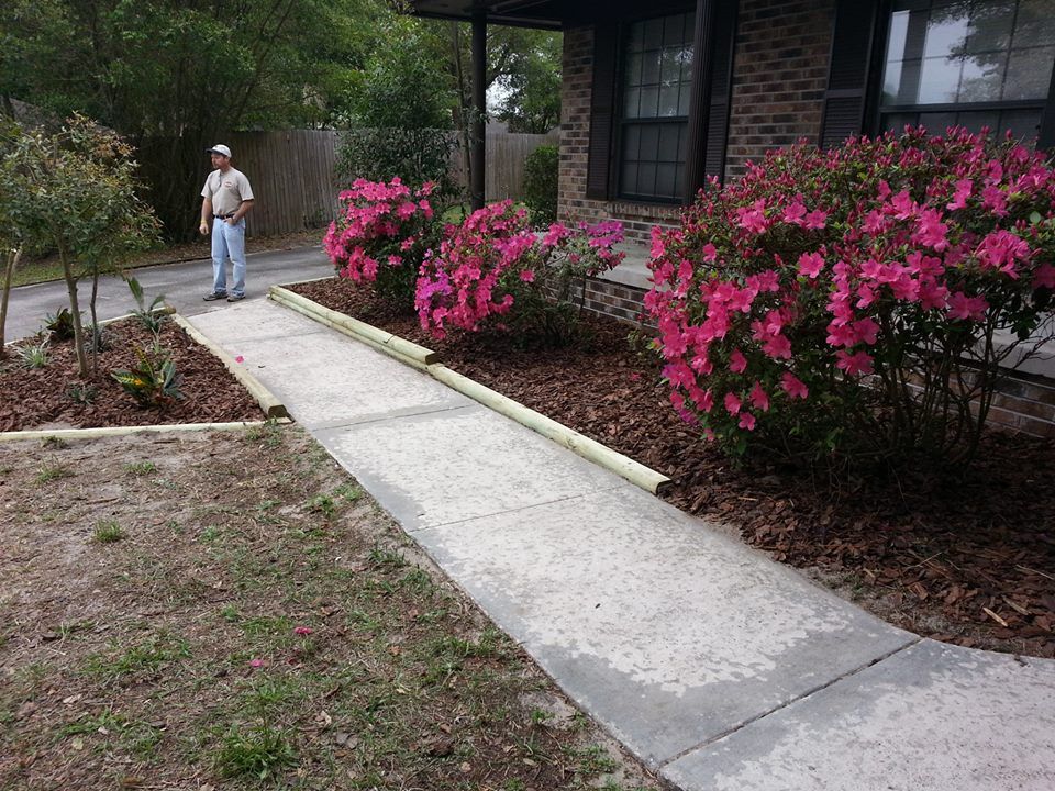 A person stands on a paved driveway next to a brick house with flowerbeds featuring bright pink azaleas and wood edging.
