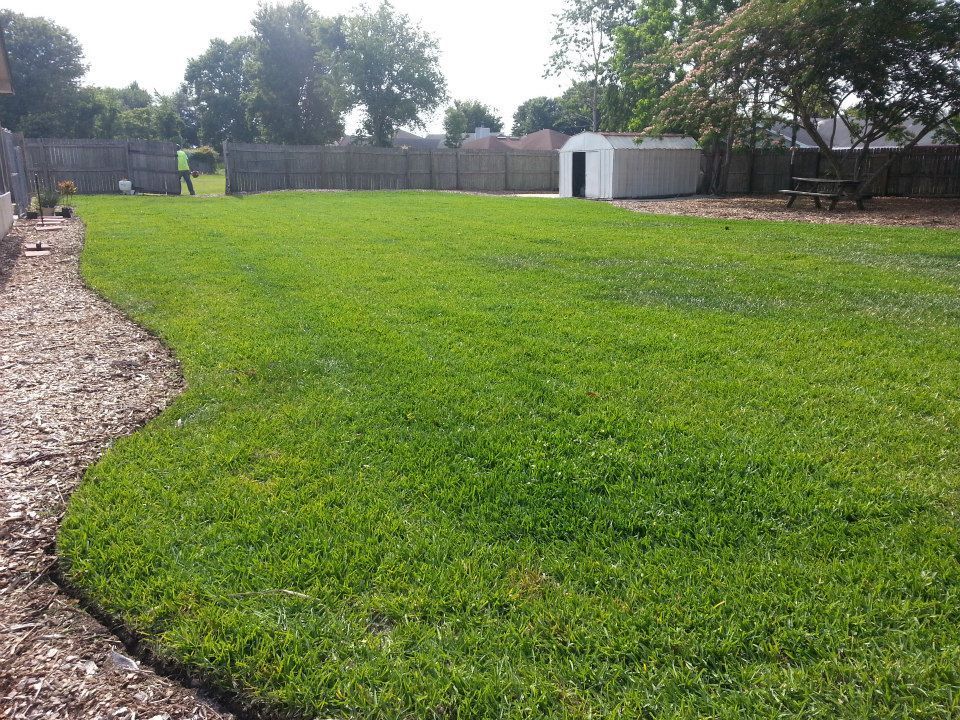 A lush green lawn curves along a mulched garden bed, leading toward a shed and wooden fence in a sunny backyard.