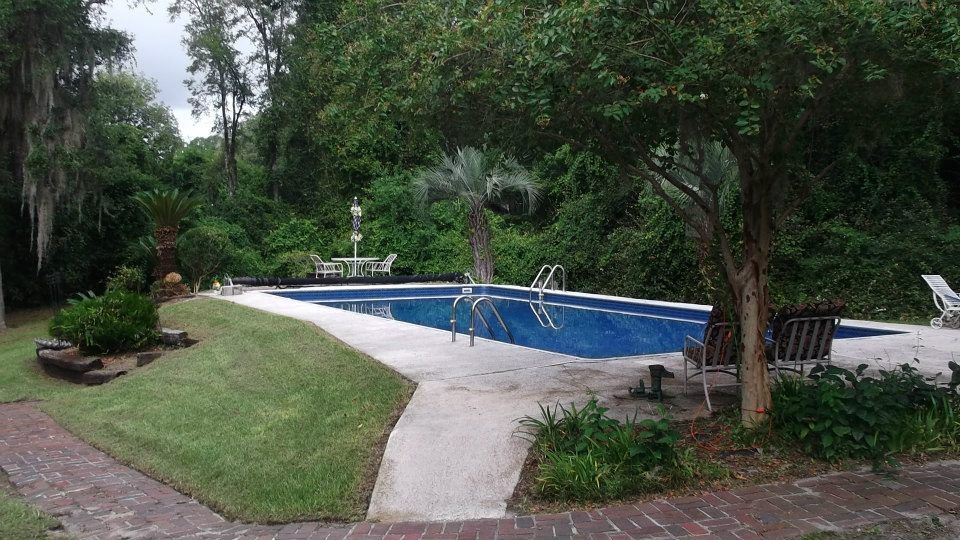 A rectangular swimming pool surrounded by a concrete deck, green lawn, trees, and dense foliage in a backyard setting.