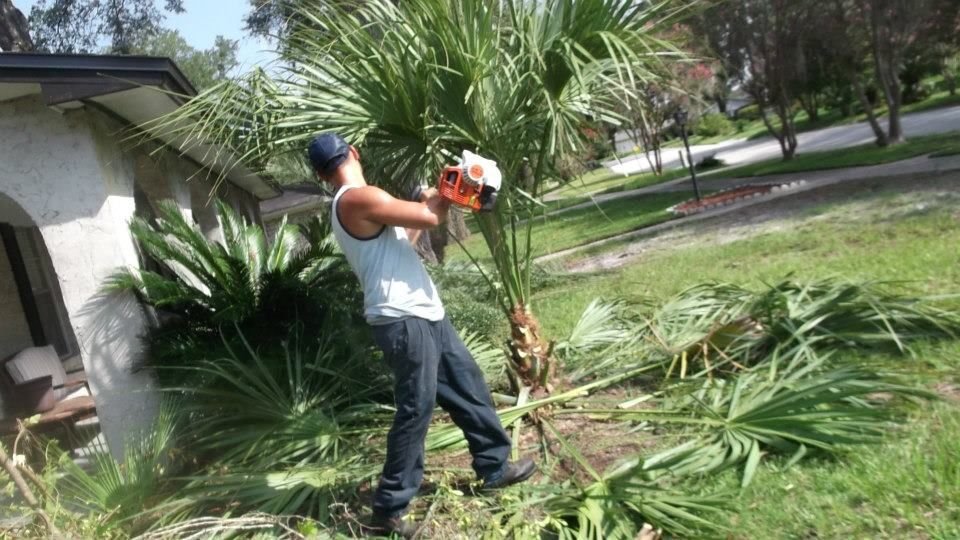 A person wearing a white tank top and dark pants uses a chainsaw to trim a palm tree in a residential yard.