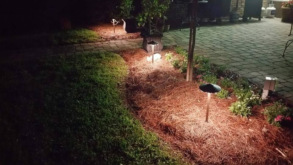Garden path at night with several small, warm-toned solar lights illuminating a mulch bed alongside a stone patio.