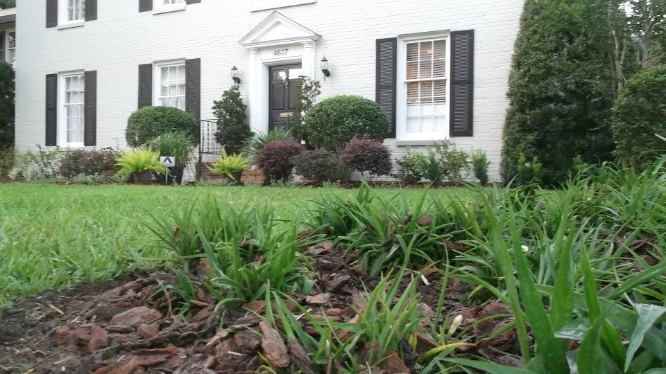 A two-story white house with black shutters and a front garden featuring mulch beds and green shrubs.