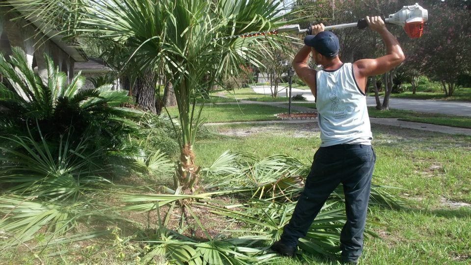 A person in a white tank top uses a long-reach pole saw to trim the fronds of a small palm tree in a grassy yard.
