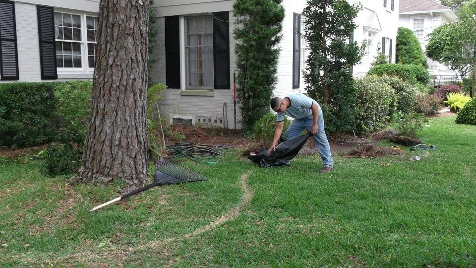 A person in blue jeans and a light-colored shirt works in a grassy yard, using a net to retrieve a black bag by a tree.