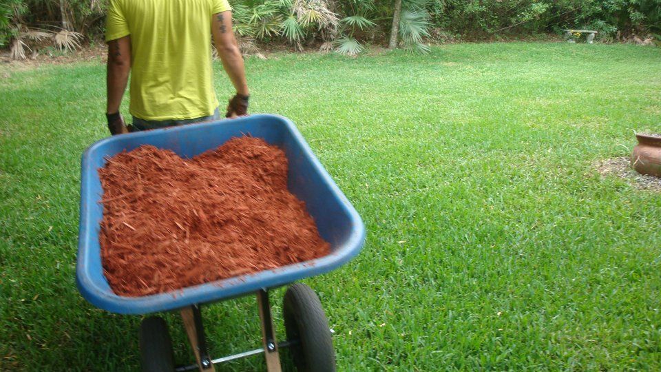 A person in a yellow shirt pushes a blue wheelbarrow filled with red mulch across a green lawn.
