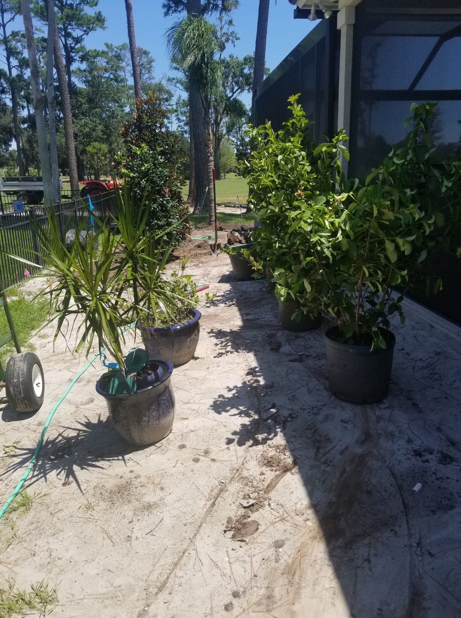 Several potted plants sit on a sandy patio area next to the edge of a screen enclosure on a sunny day.