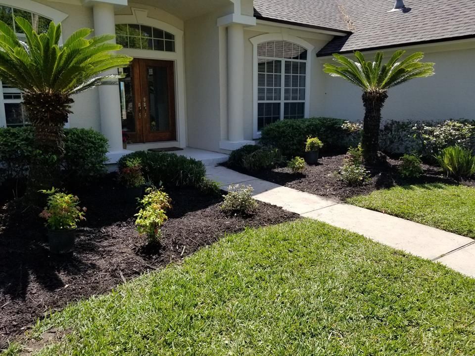 Front entrance of a house with two cycad palms in dark mulch garden beds along a concrete walkway and green lawn.