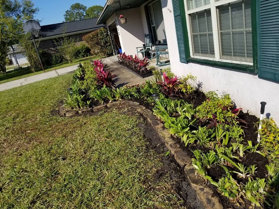 A freshly mulched flower bed with red-leafed plants and green foliage along the front of a white house with green shutters.