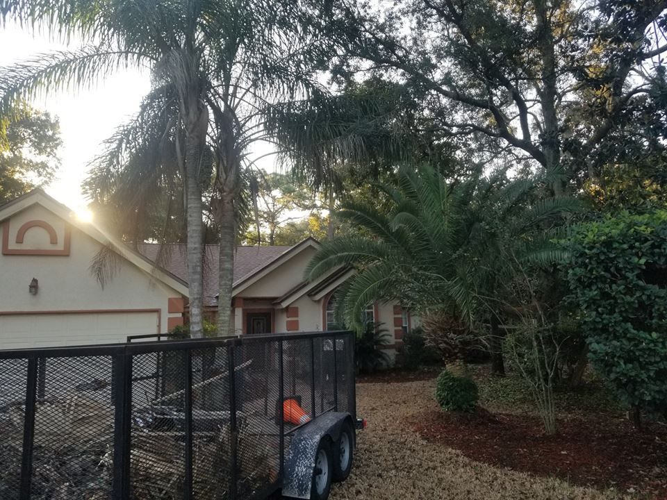 A utility trailer sits on a gravel driveway in front of a tan house partially obscured by trees and palm fronds.