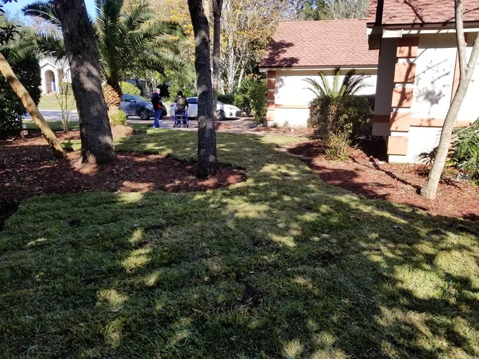 Workers install new sod in a sunlit residential yard next to a tan house with a brown roof.