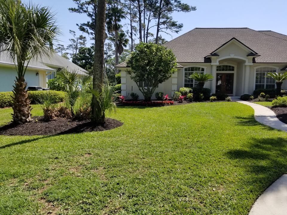 A single-story suburban house with a tan exterior, dark roof, and landscaped yard with palm trees and a concrete walkway.