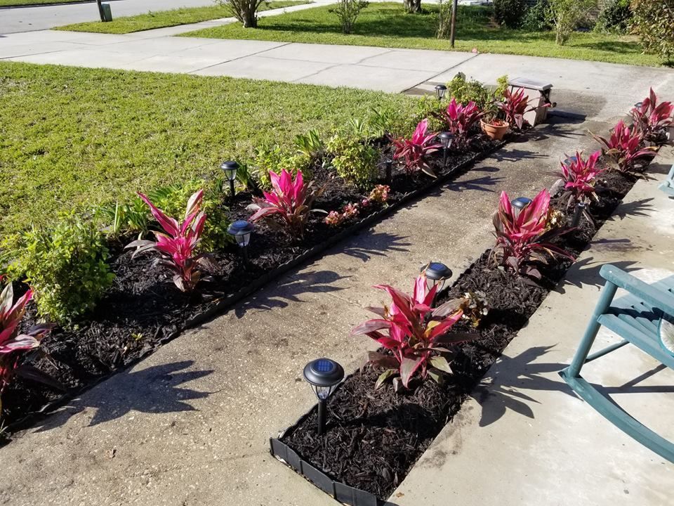 Two garden beds filled with dark mulch and magenta-leafed plants run alongside a paved walkway in a sunny yard.