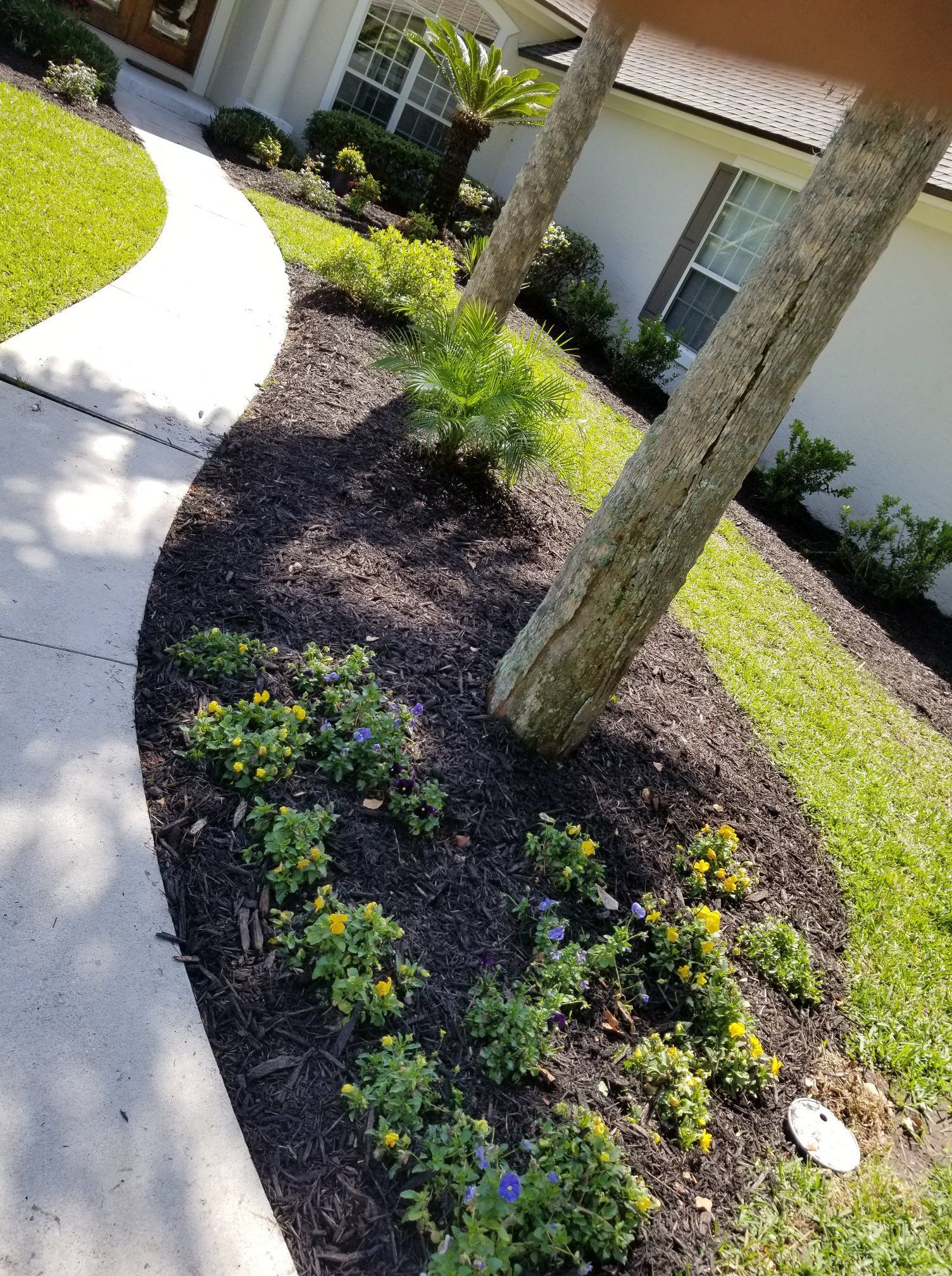 A walkway curves past a landscaped garden bed featuring dark mulch, small flowering plants, and a tree trunk.