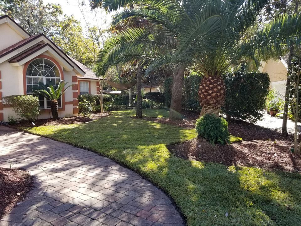 A paved walkway leads to a beige house with a large palm tree, manicured lawn, and landscaped shrubs on a sunny day.