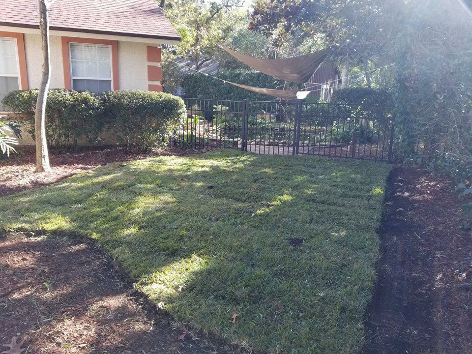 A patch of newly installed green sod in a residential yard beside a house and a mulched garden bed.