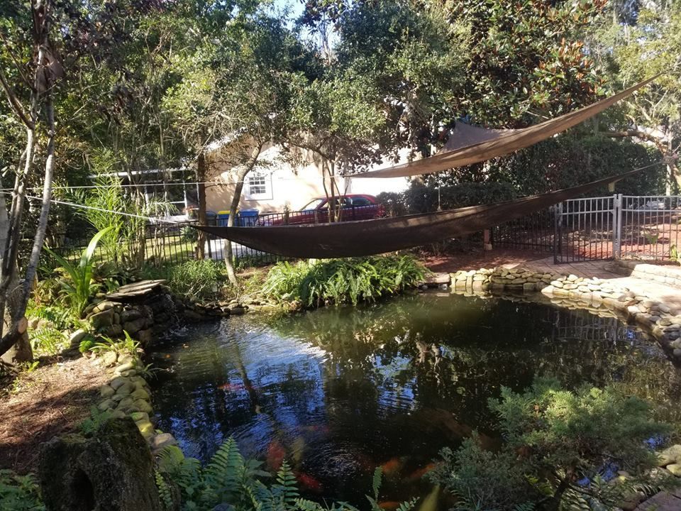 A serene pond with colorful koi fish, surrounded by lush plants, trees, and a shaded seating area in a backyard.