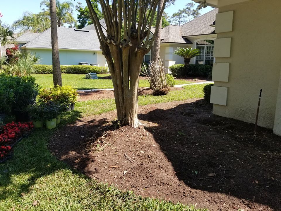 A tree trunk rises from a freshly mulched garden bed beside a house, with green lawns and other homes in the background.