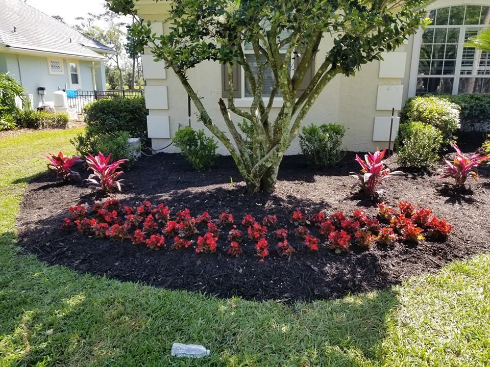 A landscaped garden bed in front of a house, featuring small red flowers, bromeliads, and shrubs surrounded by dark mulch.
