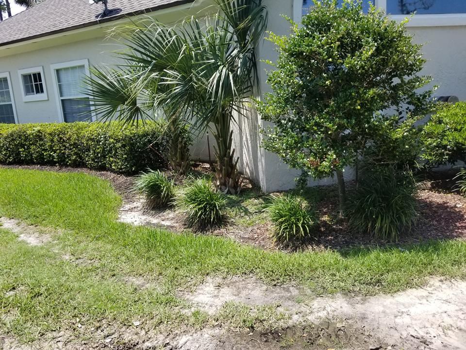Landscaped garden bed with a small palm tree, a citrus tree, shrubs, and ornamental grasses beside a house exterior.