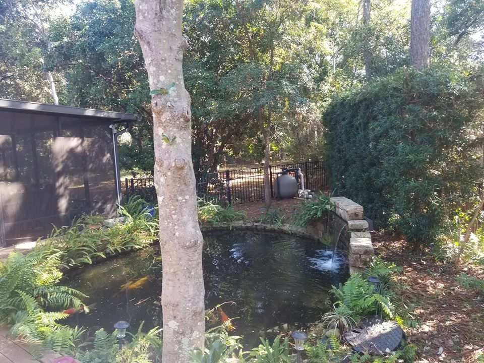 A garden pond with a stone waterfall feature, surrounded by lush green plants and trees on a sunny day.
