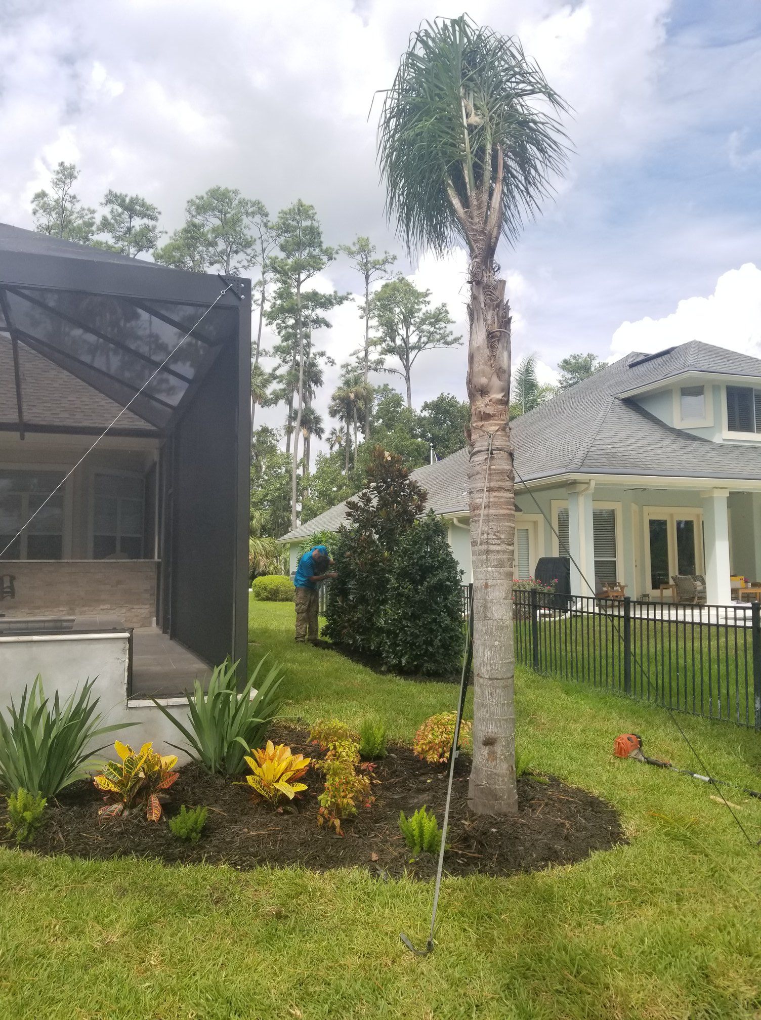 A person in a blue shirt works on landscaping near a tall palm tree and a home with a screened-in patio.