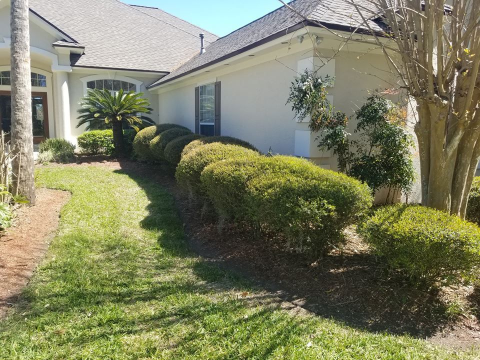 A residential house exterior features a beige wall, a trimmed hedge row, and a front lawn under a bright blue sky.