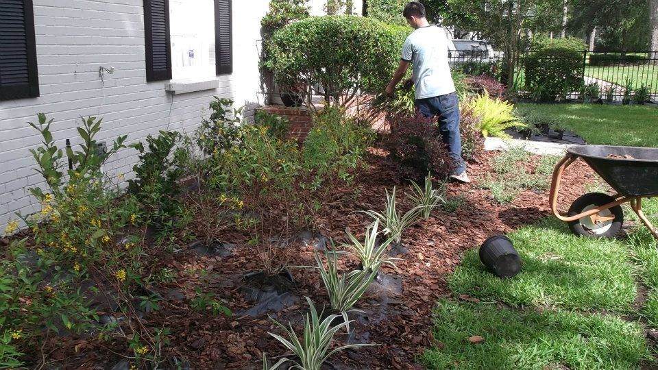 A person in a light shirt and jeans works in a garden bed with fresh mulch, new plants, and a wheelbarrow nearby.