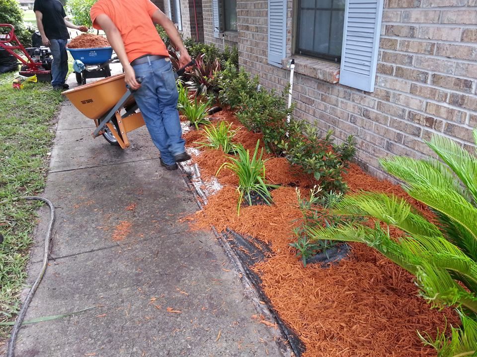 A person in an orange shirt pushing a wheelbarrow filled with mulch along a sidewalk beside a brick house.