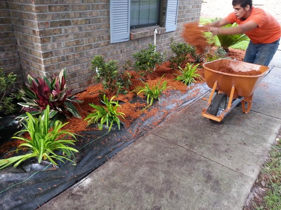 A person in an orange shirt spreads mulch from a wheelbarrow onto a garden bed beside a brick house.