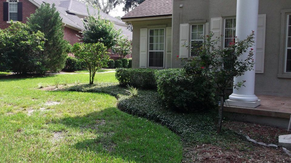 A view of a house exterior with a white column, a grassy lawn, and neatly trimmed hedges lining the foundation.