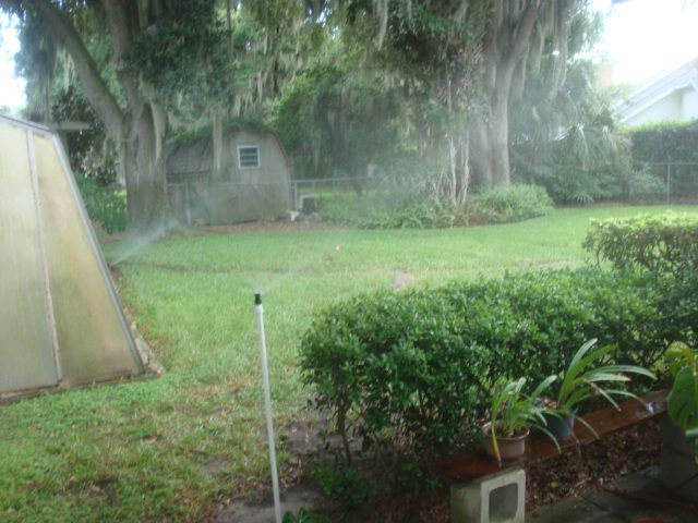 A backyard with a green lawn, lush trees, a small shed, and a sprinkler spraying water across the grass.
