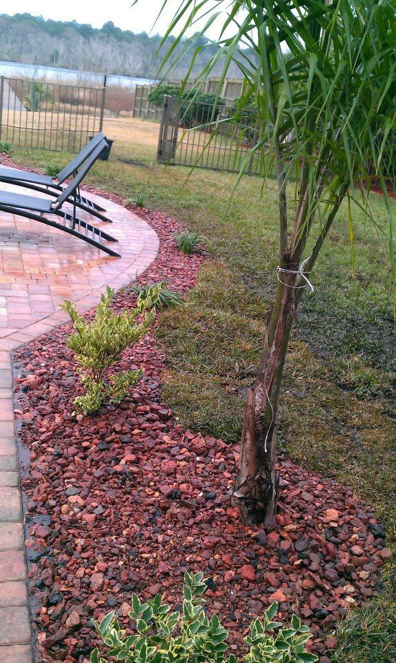 A palm tree and small shrubs sit in a red mulch bed beside a brick patio and lounge chairs in a grassy yard.