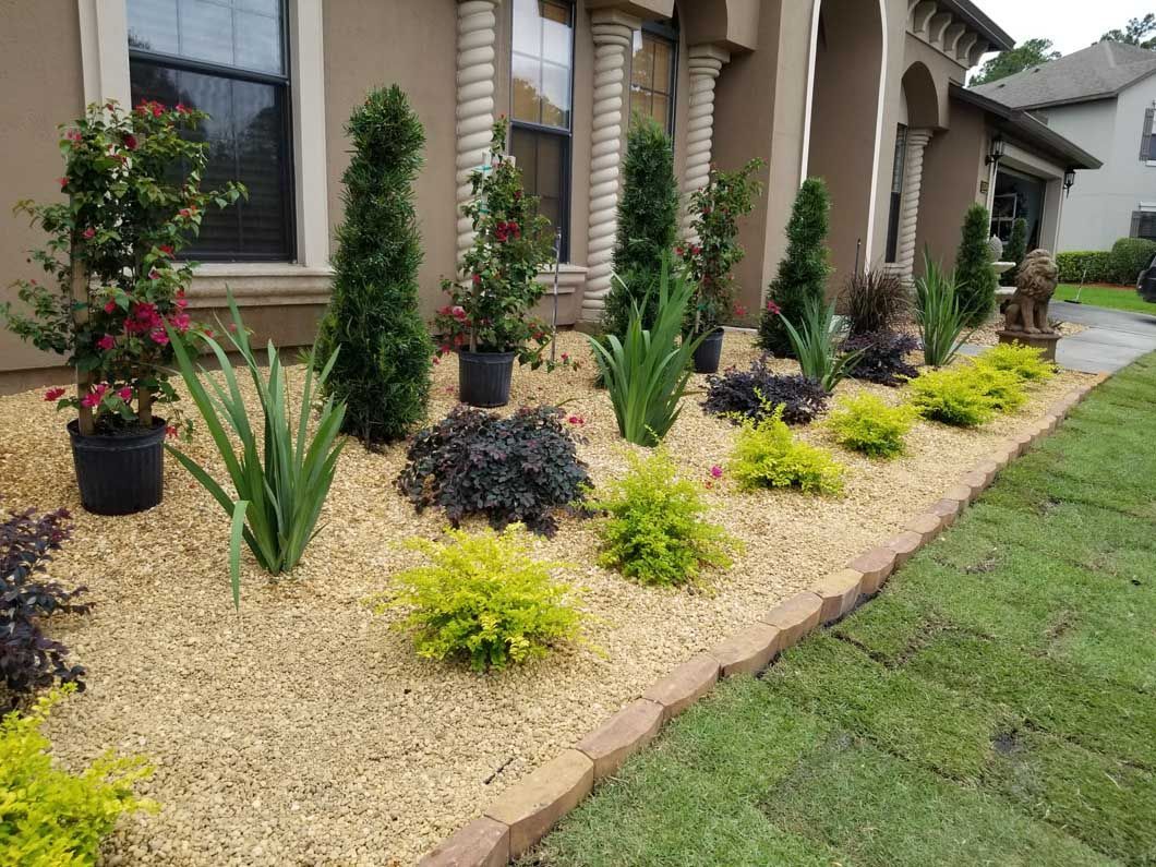 Front yard garden bed with shrubs, tall evergreen topiaries, and bright green foliage, mulched with light wood chips.