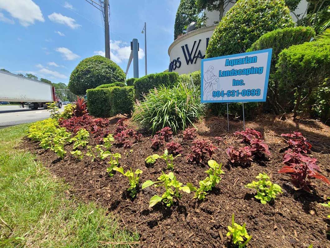 A landscaped garden bed with colorful shrubs and mulch, featuring a business sign for 