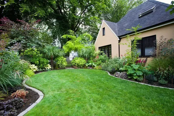 Lush green backyard garden beside a beige house with landscaped beds and curved stone edging
